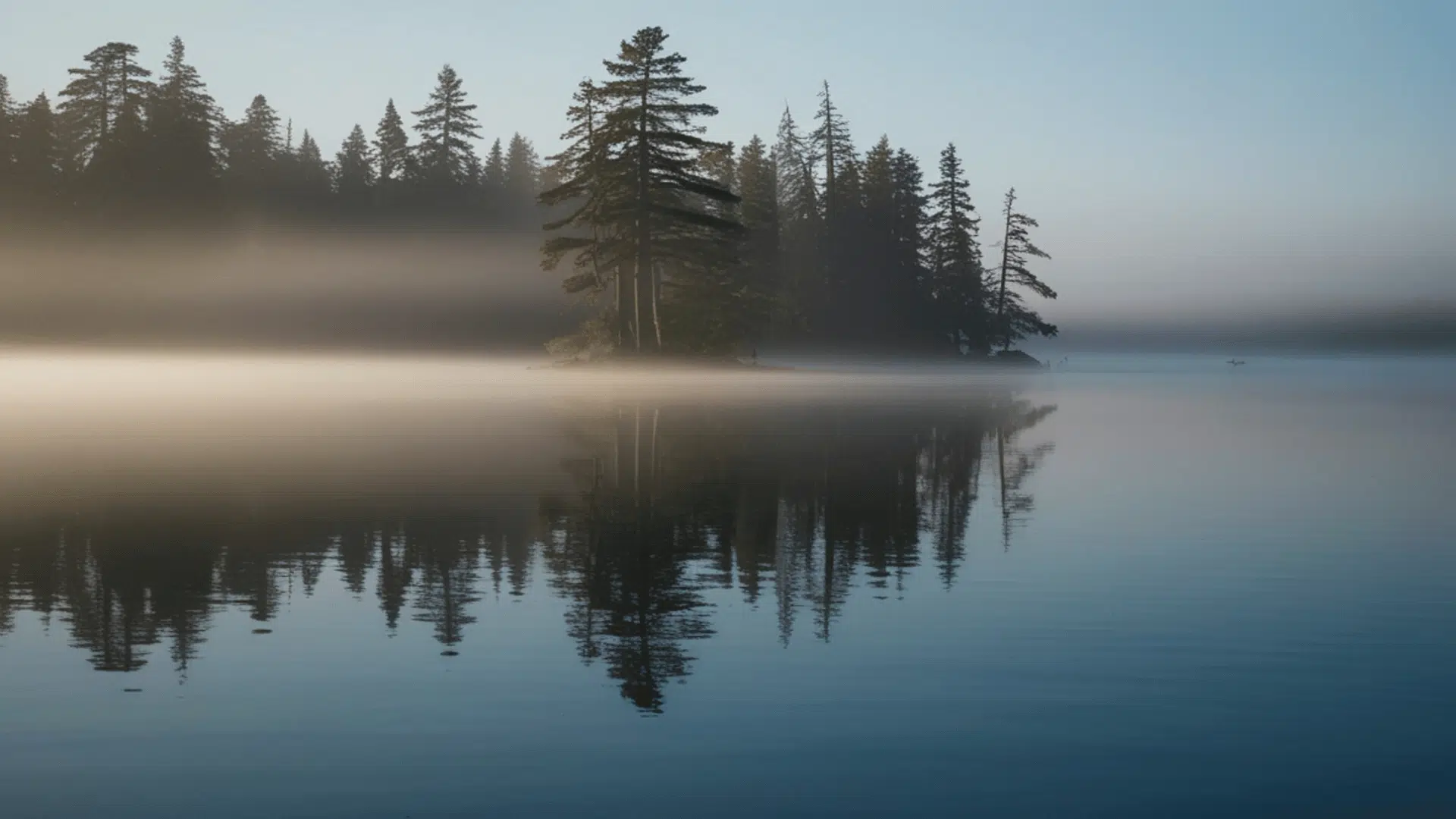 Mountain View Treatment — Medication-Assisted
