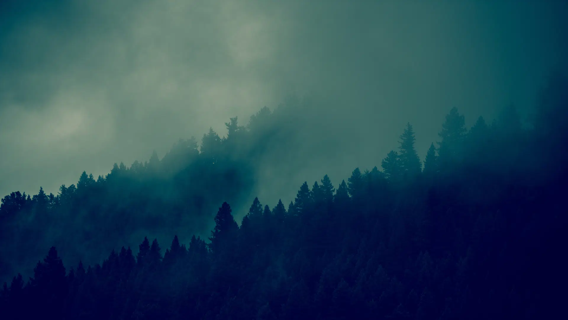 Mountain View Treatment — Neurofeedback Therapy