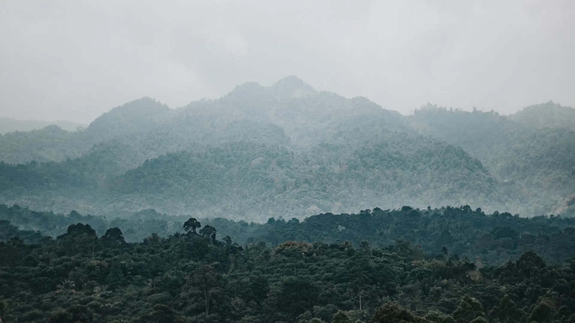 Mountain View Treatment — Somatic Experiencing