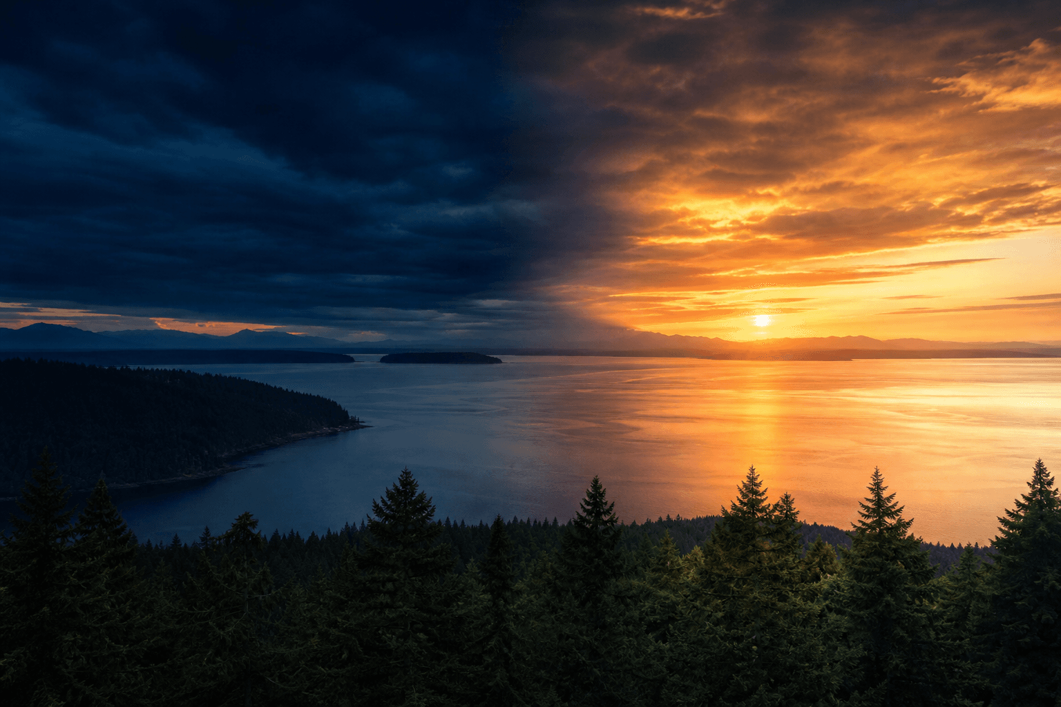 Bipolar disorder treatment in Seattle, WA — Mountain View Treatment